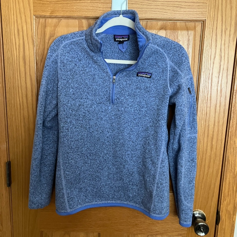 Patagonia Blue and Purple Quarter Zip Fleece Pullover